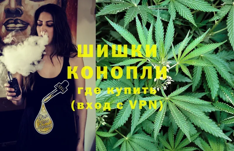 Бошки марихуана THC 21%  Волосово 